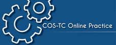 Logo for DaSy: COS-TC Online Practice